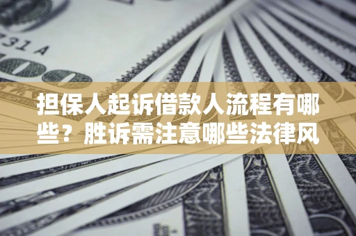 济南担保人起诉借款人流程有哪些？胜诉需注意哪些法律风险？